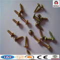 Anping Weihao offer screw/various type self tapping screw